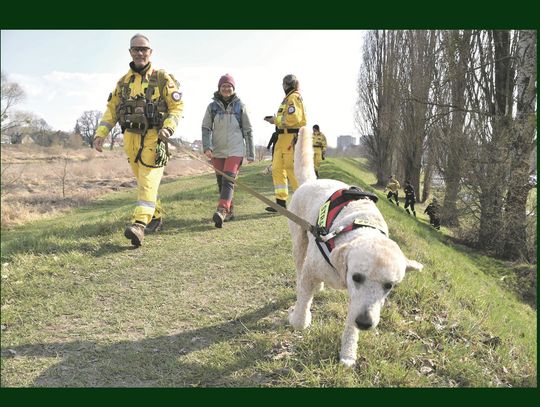 OŁAWA Szukać zaginionych trzeba umieć OŁAWA Szukać zaginionych trzeba umieć