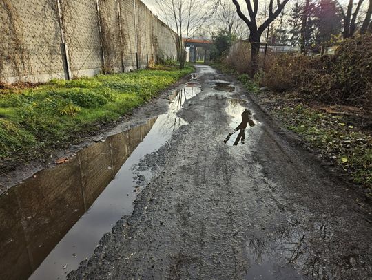 OŁAWA Ulica Cicha w błocie. Halo, jest tu jakiś zarządca?