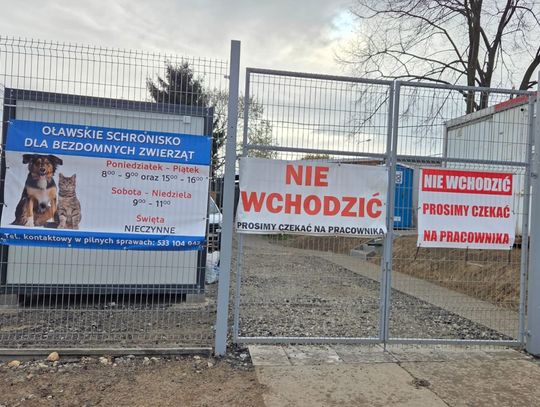Oławskie schronisko przyjmie zwierzęta z kolejnej gminy