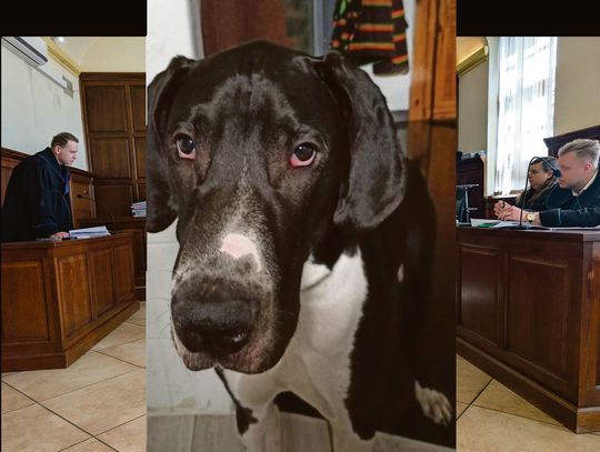 Opinia biegłej pogrąża Karolinę P., ale obrona walczy