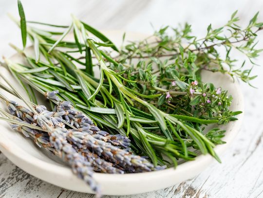 Opowiedzą, jak pokonać stres ziołami