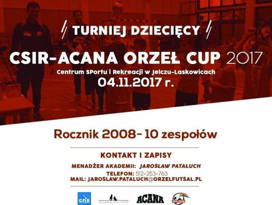 Orzełki znów powalczą w hali CSiR