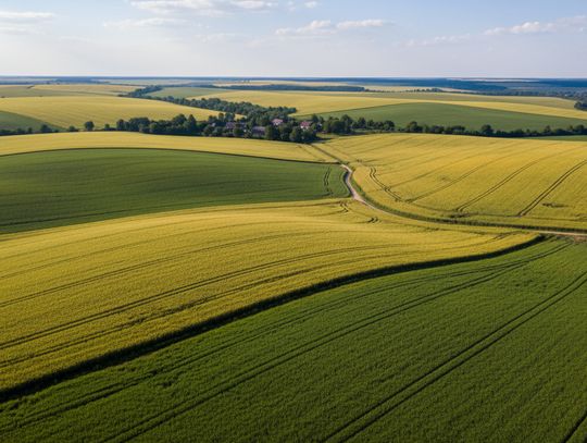 Oszczędność czy fanaberia? Liczymy, czy mikrobiologiczne środki ochrony roślin się opłacają