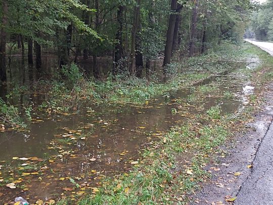 Otwarcie drogi Oława-Jelcz coraz bliżej