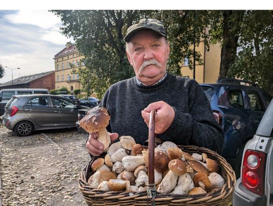 Pan Henryk przyniósł do redakcji grzyby. Sezon rozpoczęty!