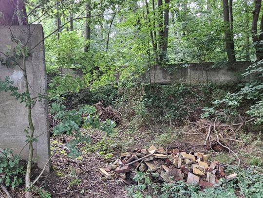 Piec kaflowy do... rezerwatu!