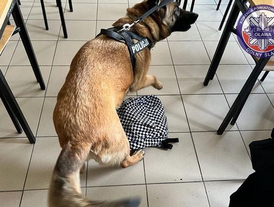Pies znalazł narkotyki podczas spotkania w szkole