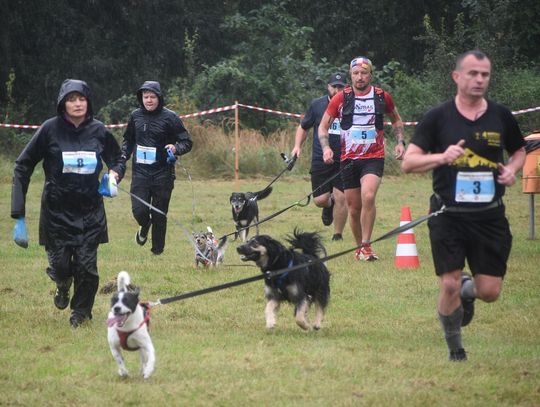 Piknik pod Psem i... pogoda pod psem