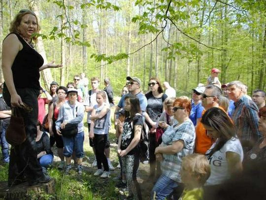 Piknik w leśnej głuszy