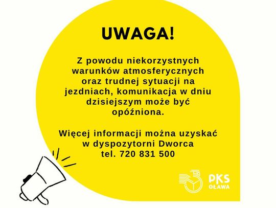 PKS: - Komunikacja może być opóźniona z powodu warunków na drodze