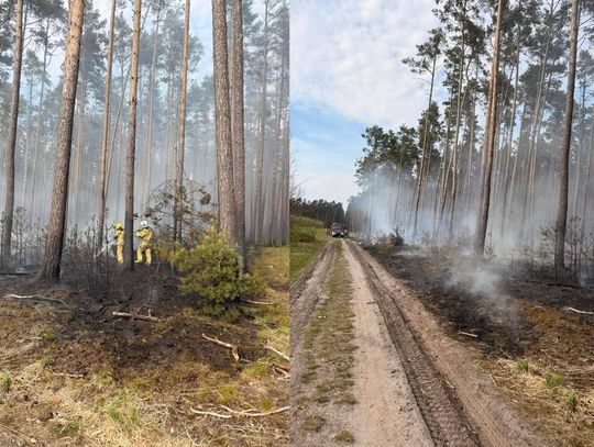 Płonął las. Kolejne pożary są możliwe. Uważajcie na siebie!