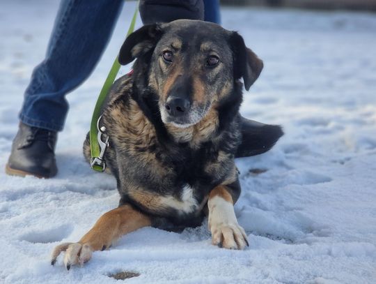 Po prostu przestała być potrzebna Po prostu przestała być potrzebna