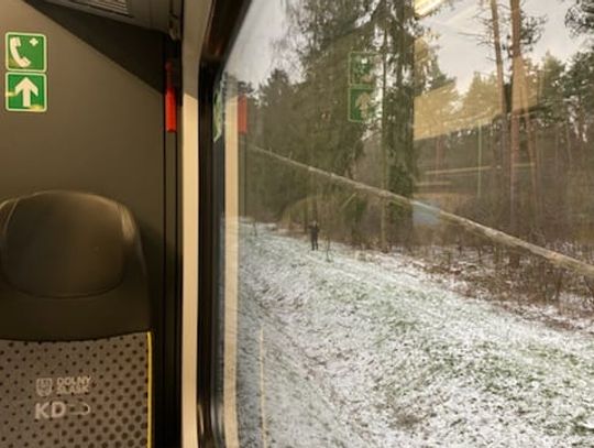 Pociąg do Jelcza-Laskowic unieruchomiony w lesie