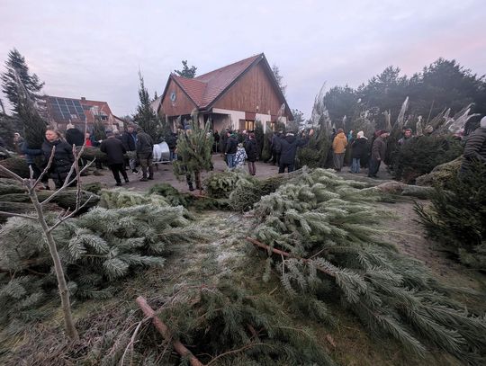 Podsłuchane w kolejce po choinkę Podsłuchane w kolejce po choinkę