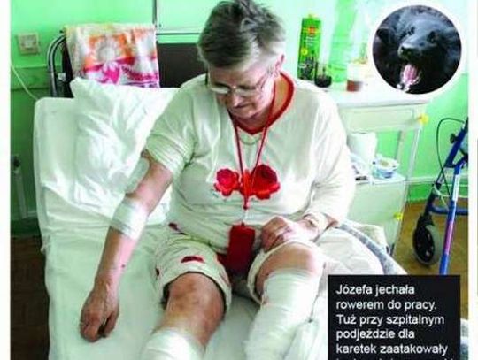 Pogryziona przez psy - ciąg dalszy