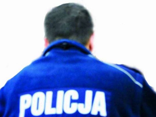 Policja też szukała, ale znalazł właściciel