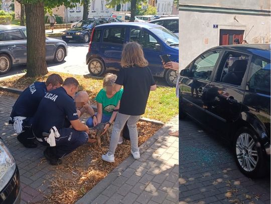 Policjanci wybili szybę, aby ratować zamkniętego w samochodzie psa