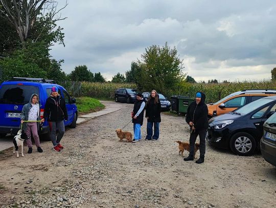 Pomogli wyprowadzić psy ze schroniska. Wolontariusze dziękują