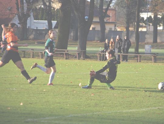 Popis nieskuteczności