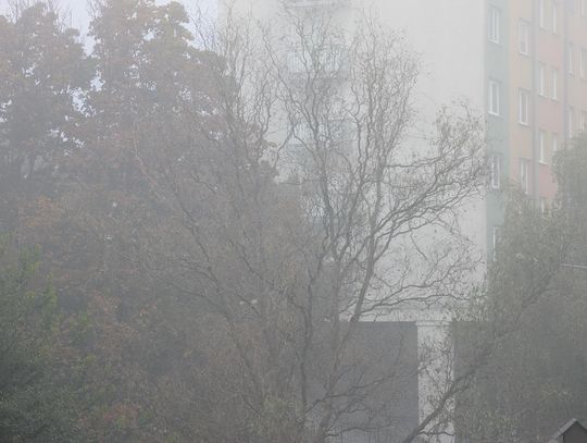 Poranna mgła utrudnia jazdę. Jedź ostrożnie Poranna mgła utrudnia jazdę. Jedź ostrożnie