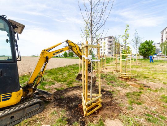 Powstaje "park" na osiedlu Sobieskiego. Co z dalszą częścią terenu? - pyta radny Powstaje "park" na osiedlu Sobieskiego. Co z dalszą częścią terenu? - pyta radny