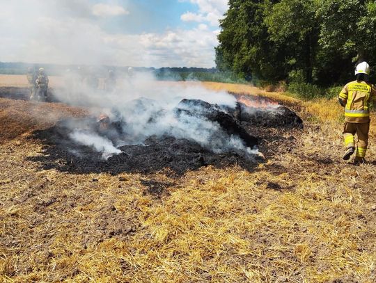 Pożar w pobliżu lasu