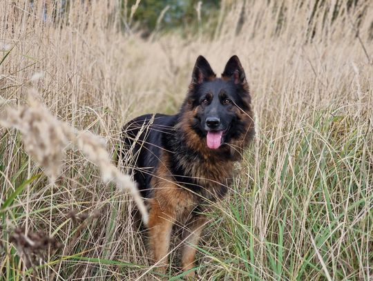 Poznaj Lunę. Może właśnie na Ciebie czeka