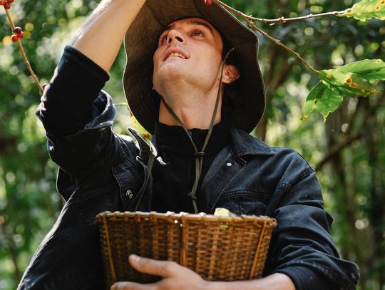 Prace w ogrodzie - co na pewno się przyda?