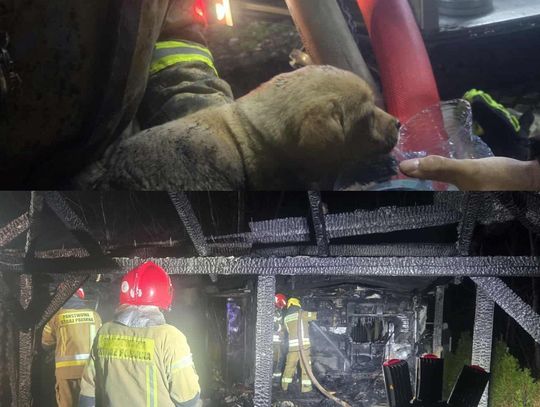 Przed świętami spalił im się dom. Pomóż Przed świętami spalił im się dom. Pomóż
