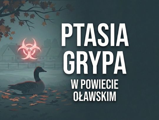 Ptasia grypa w powiecie oławskim. Wojewoda wyznaczył strefę objętą zakażeniem