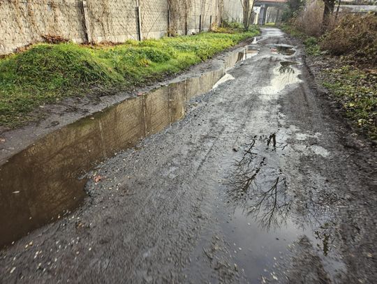 Remont ul. Cichej wciąż pod znakiem zapytania