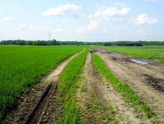 Rozjeżdżają pole, mogą być ukarani