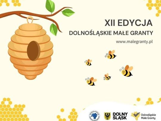 Ruszyła 12. edycja Dolnośląskich Małych Grantów!