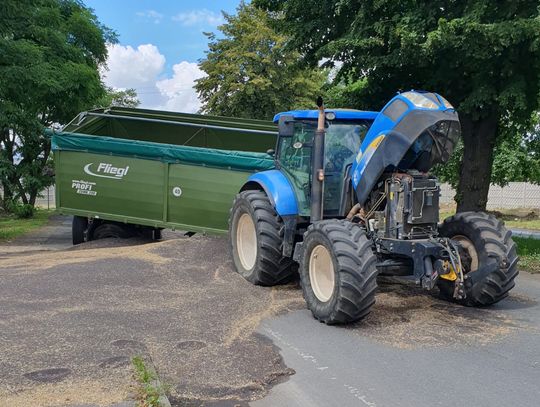 Rzepak skutecznie zablokował ruch do Ścinawy Polskiej