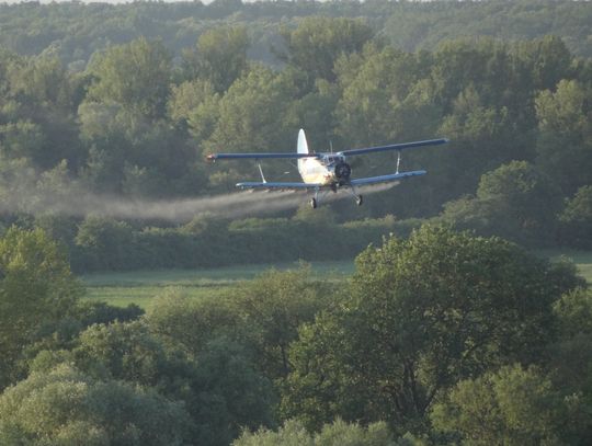 Są pieniądze i umowa na odkomarzanie. Co jeśli nie będzie konieczne?