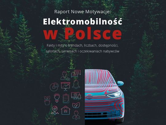 Salony i serwisy bez &quot;energii&quot; do sprzedaży samochodów elektrycznych