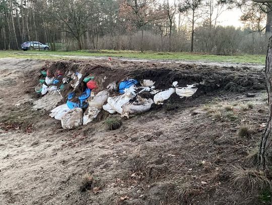 Skąd te worki nad stawem? Nie wygląda to dobrze...