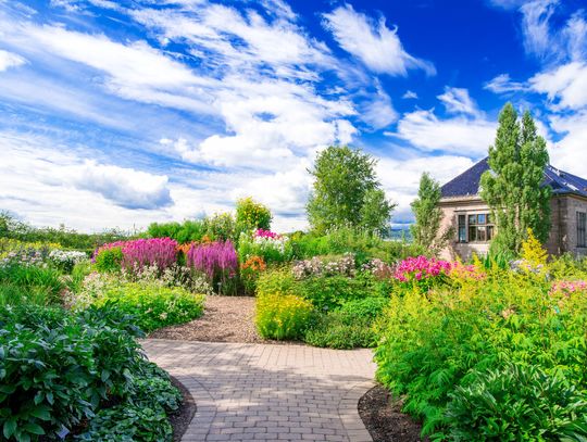 Sklep z nasionami Planet.pl: Wszystko, czego potrzebujesz do stworzenia wymarzonego ogrodu