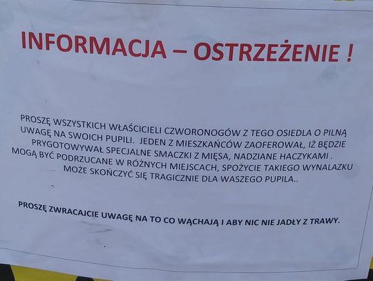 Smaczki dla psów mają być nadziane... haczykami! Ohydne!