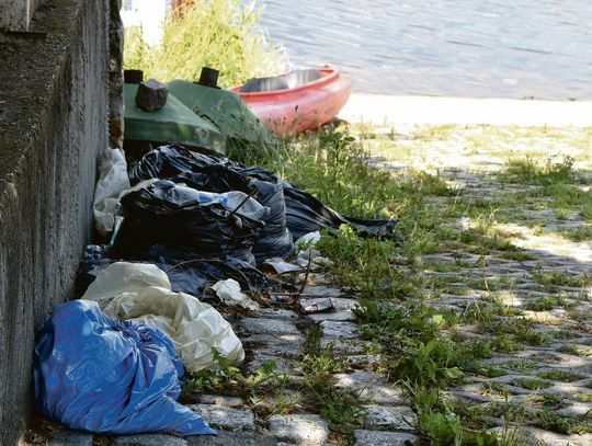 Śnięte ryby wciąż leżą w workach na brzegu rzeki