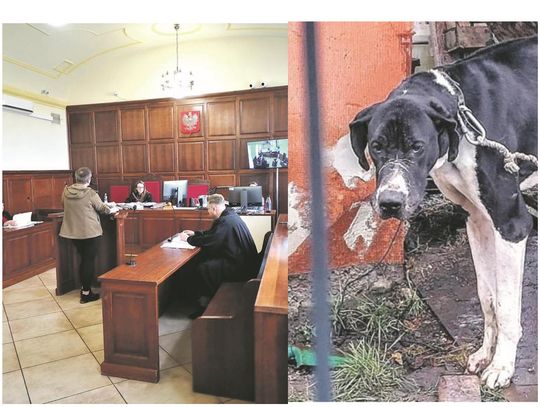 Sprawa Karoliny P. Obrońca przelicytował? Sprawa Karoliny P. Obrońca przelicytował?