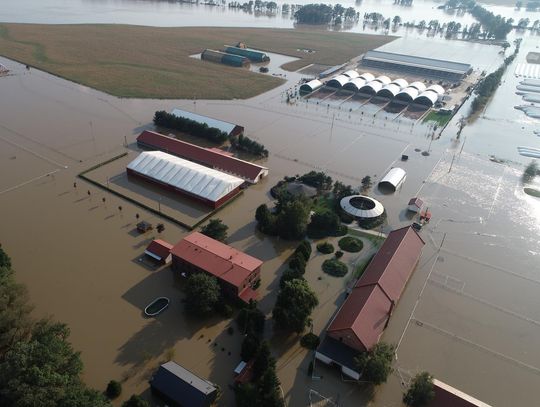 Stajnia pod wodą - trzeba im pomóc się podnieść!