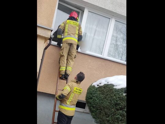 Stał w oknie przestraszony i zapłakany. Na szczęście ktoś zareagował