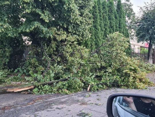 Stan po nawałnicy. VIDEO z Wyszkowic