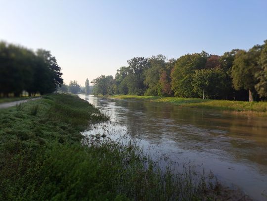 Stan wody w rzekach. Odra poniżej 7 metrów, Oława poniżej stanu alarmowego