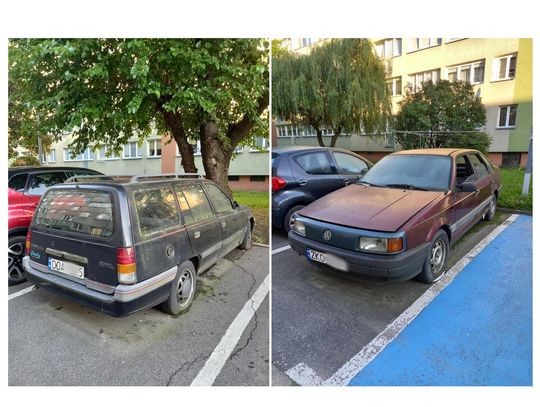 Strażnicy już działają w sprawie tych wraków
