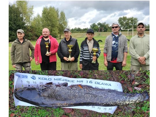 Sum miał ponad metr długości!