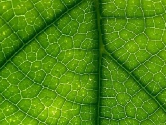 Świadomość klimatyczna Polaków: ile tak naprawdę wiemy o postępujących zmianach