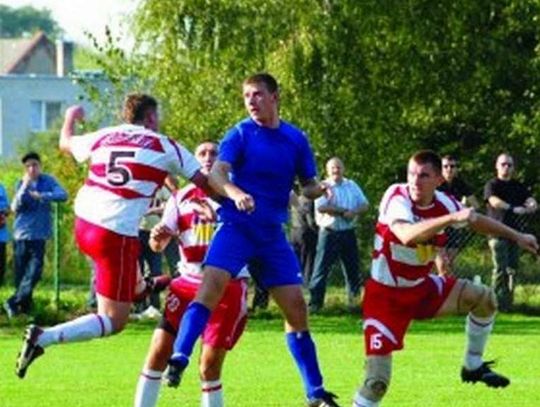 Świteź walczy o powrót