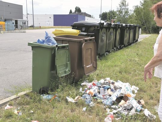 Szczury mają tu stołówkę i utrudniają ludziom życie